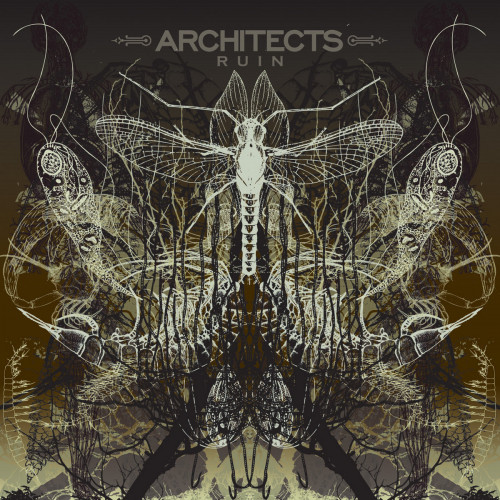 Architects