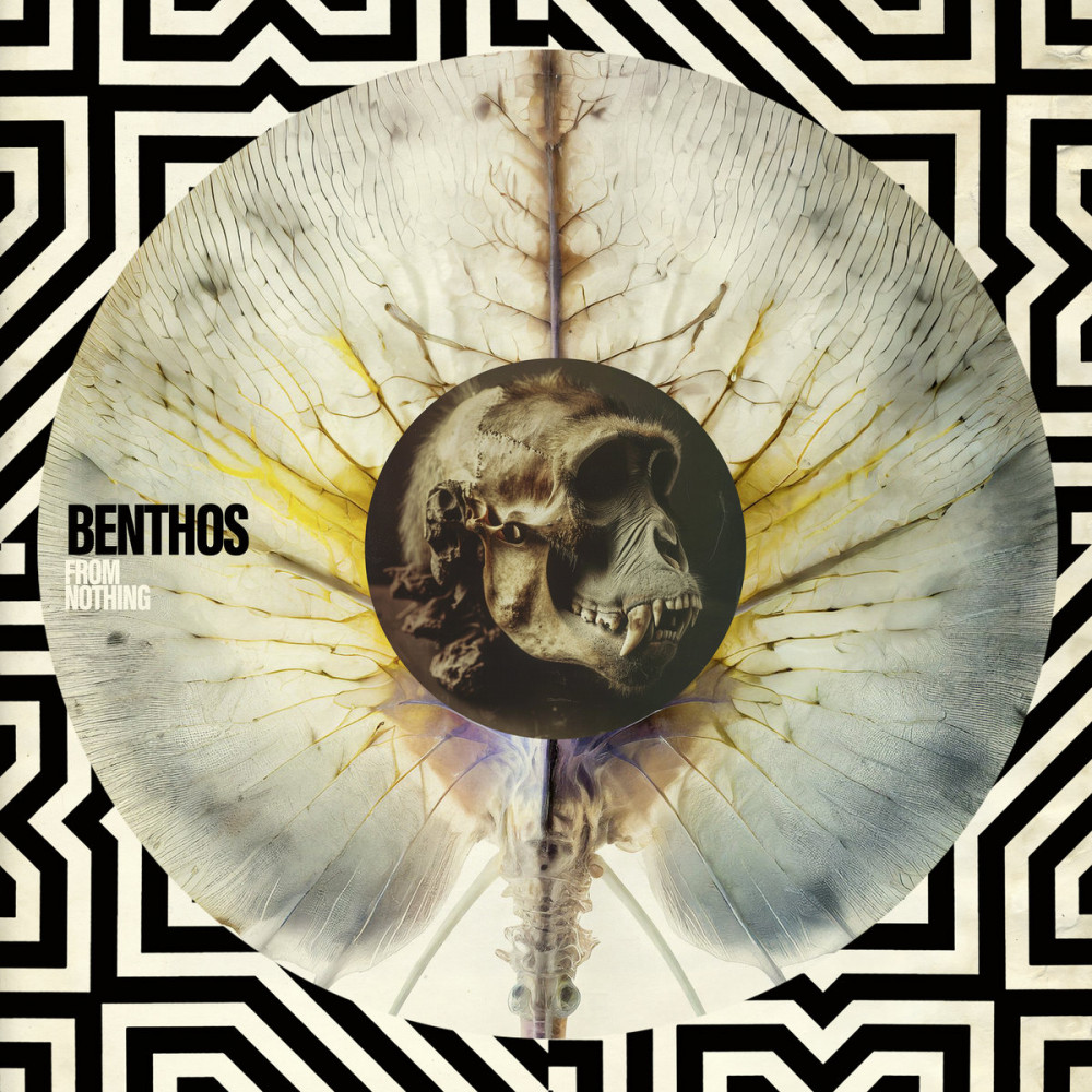Benthos
