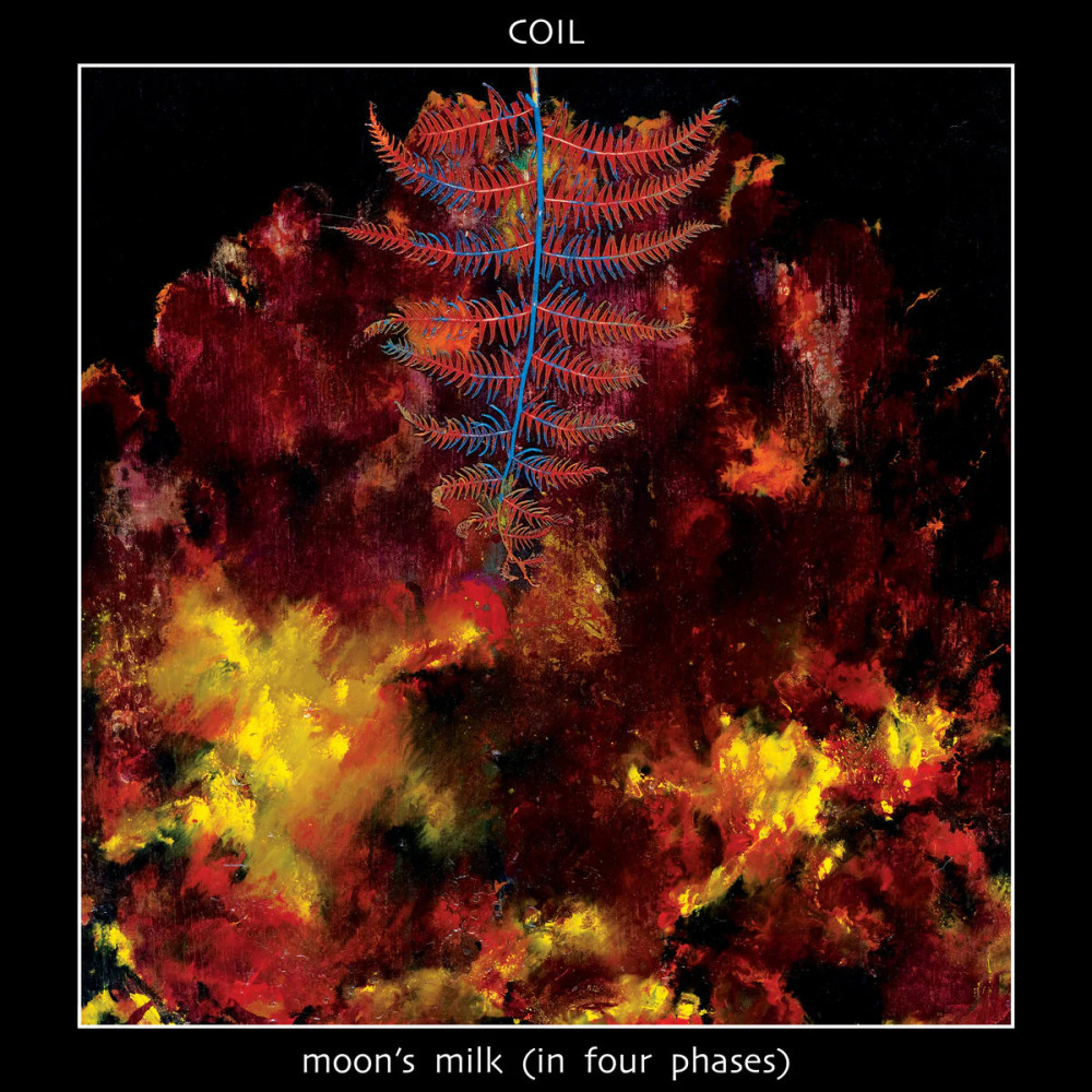 Coil