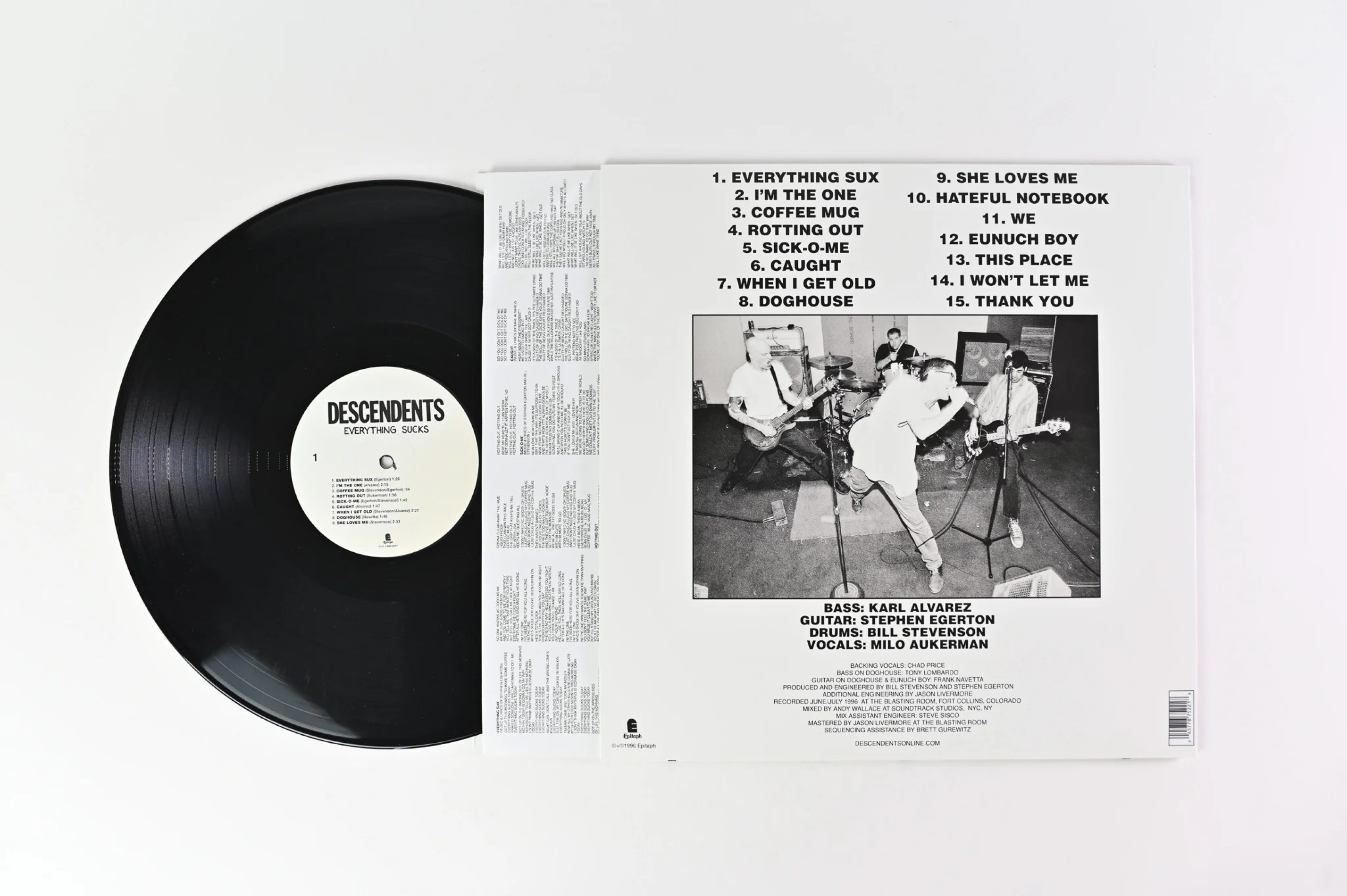 Descendents vinyl record - Everything Sucks - buy at Quals