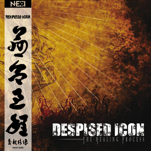 Despised Icon