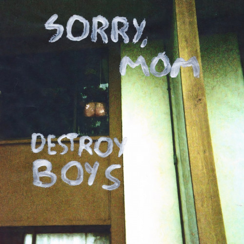 Destroy Boys