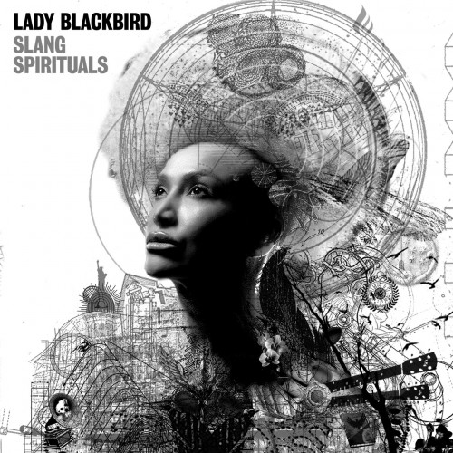 Lady Blackbird