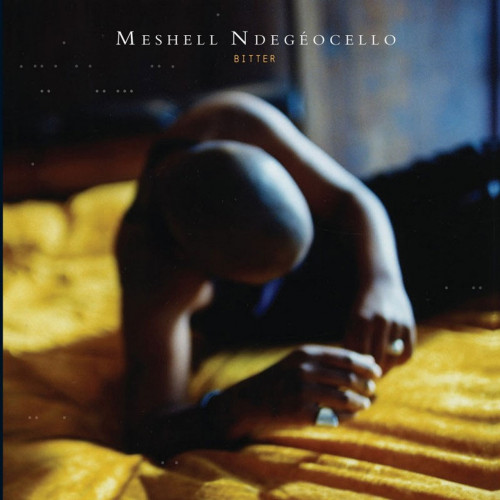 Meshell Ndegeocello