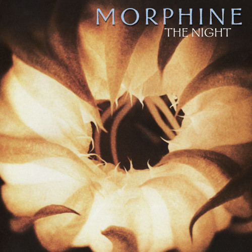 Morphine The Night