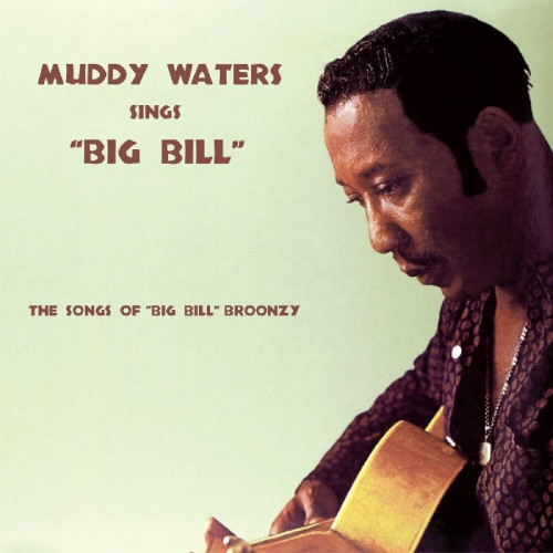 Muddy Waters 