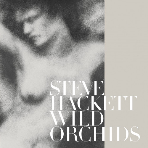Steve Hackett Wild Orchids