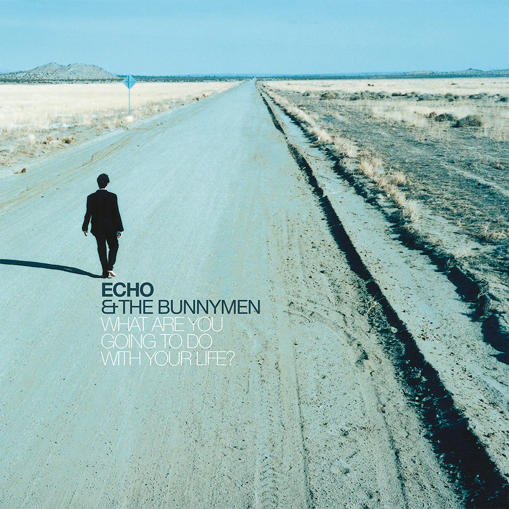 Echo And The Bunnymen What Are You Going To Do With Your Life?