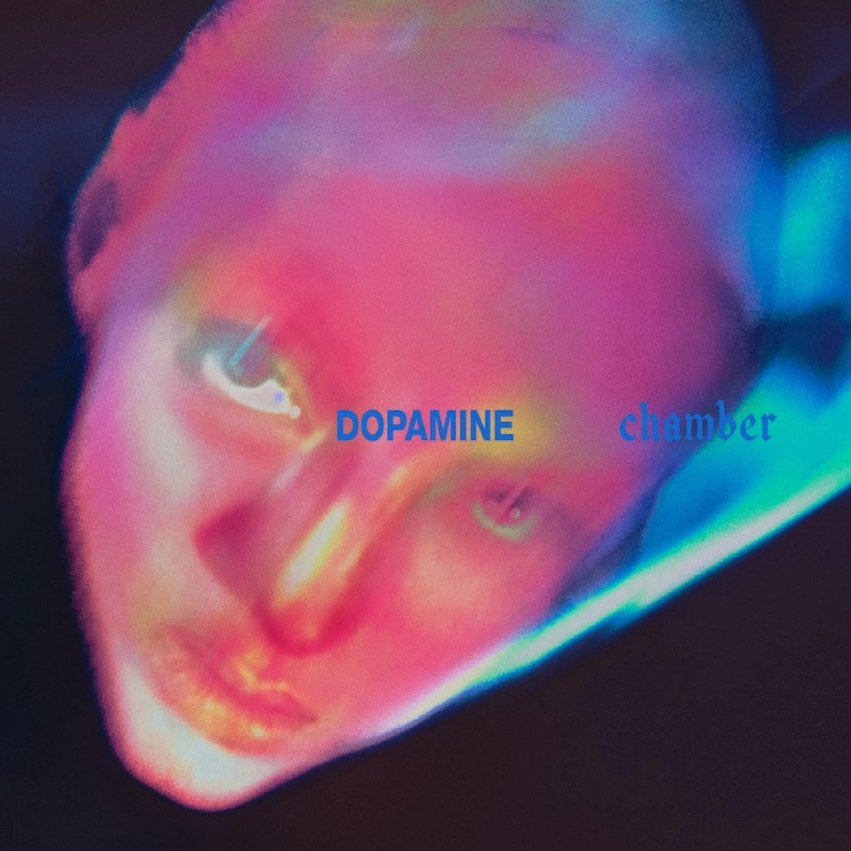 Fontaines D.C. 