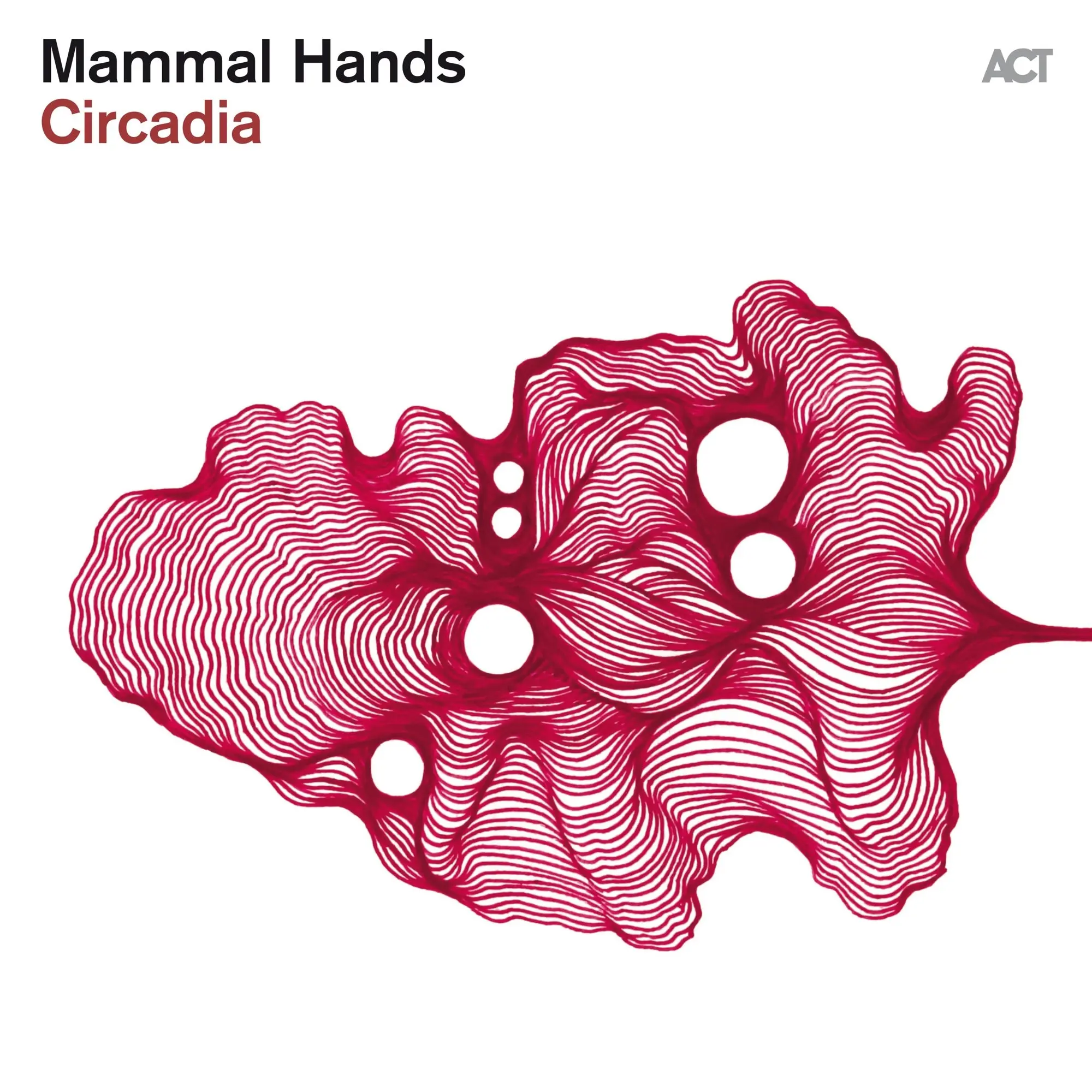 Mammal Hands	