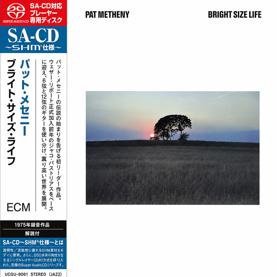 Pat Metheny
