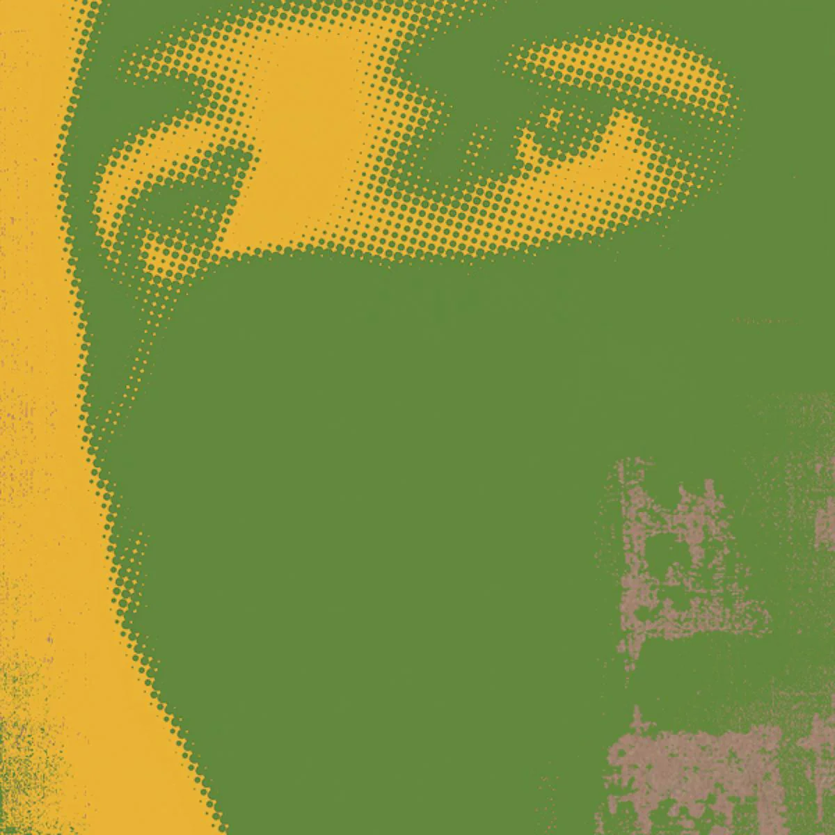 Thievery Corporation 